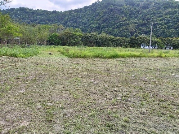 實踐場域環境整地 活動照片