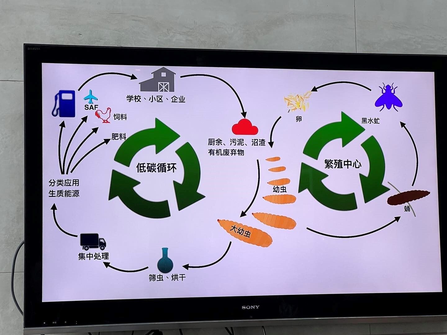 循環農業生產工作坊 活動照片