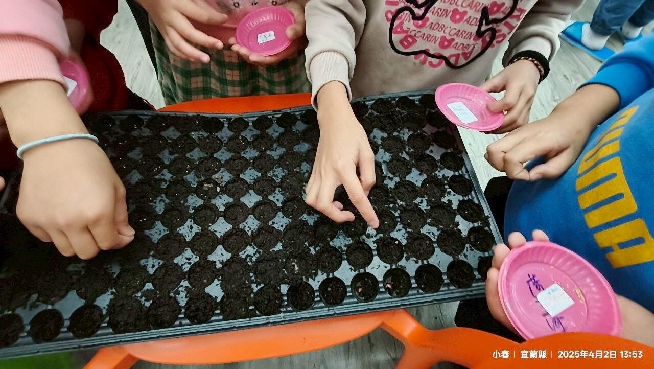 「原住民食農教育體驗探索」系列課程-小米田間管理 活動照片