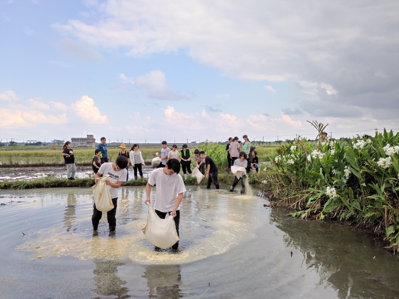 水田棲地營造與賞鳥活動 活動照片