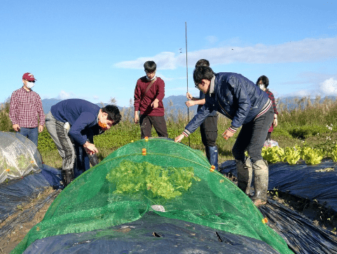 「作物生產概論」與「休閒農業概論」聯合成果發表 活動照片