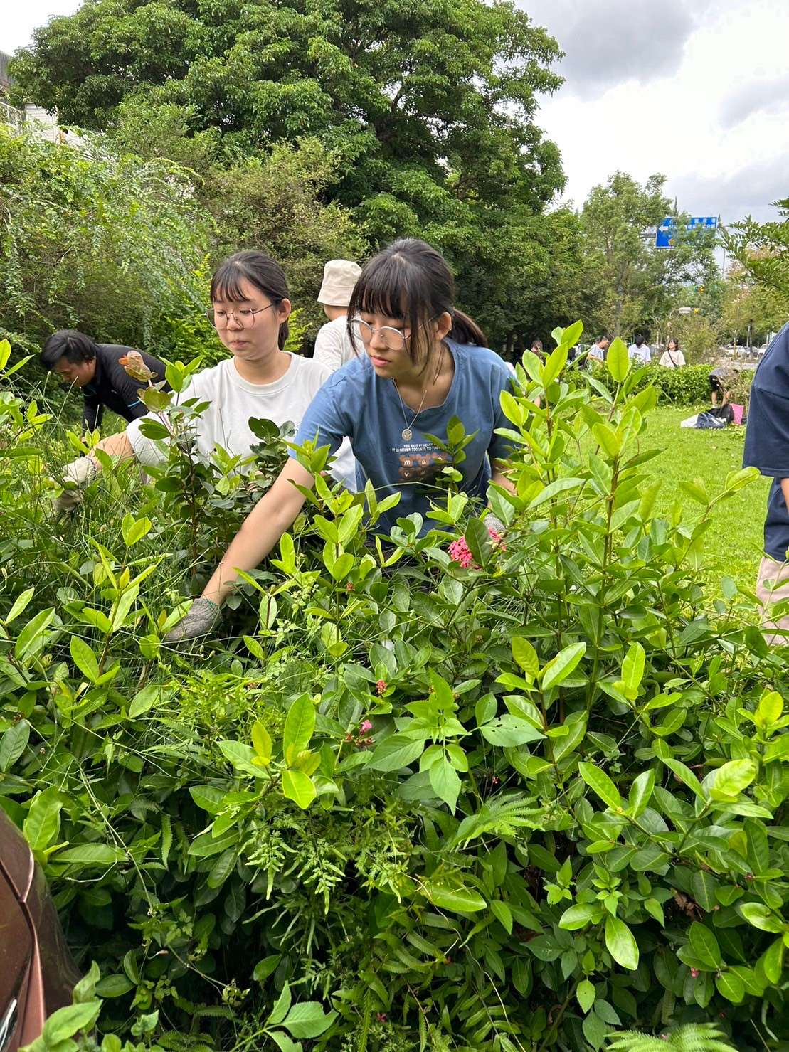 社區雨花園景觀維護服務學習 活動照片