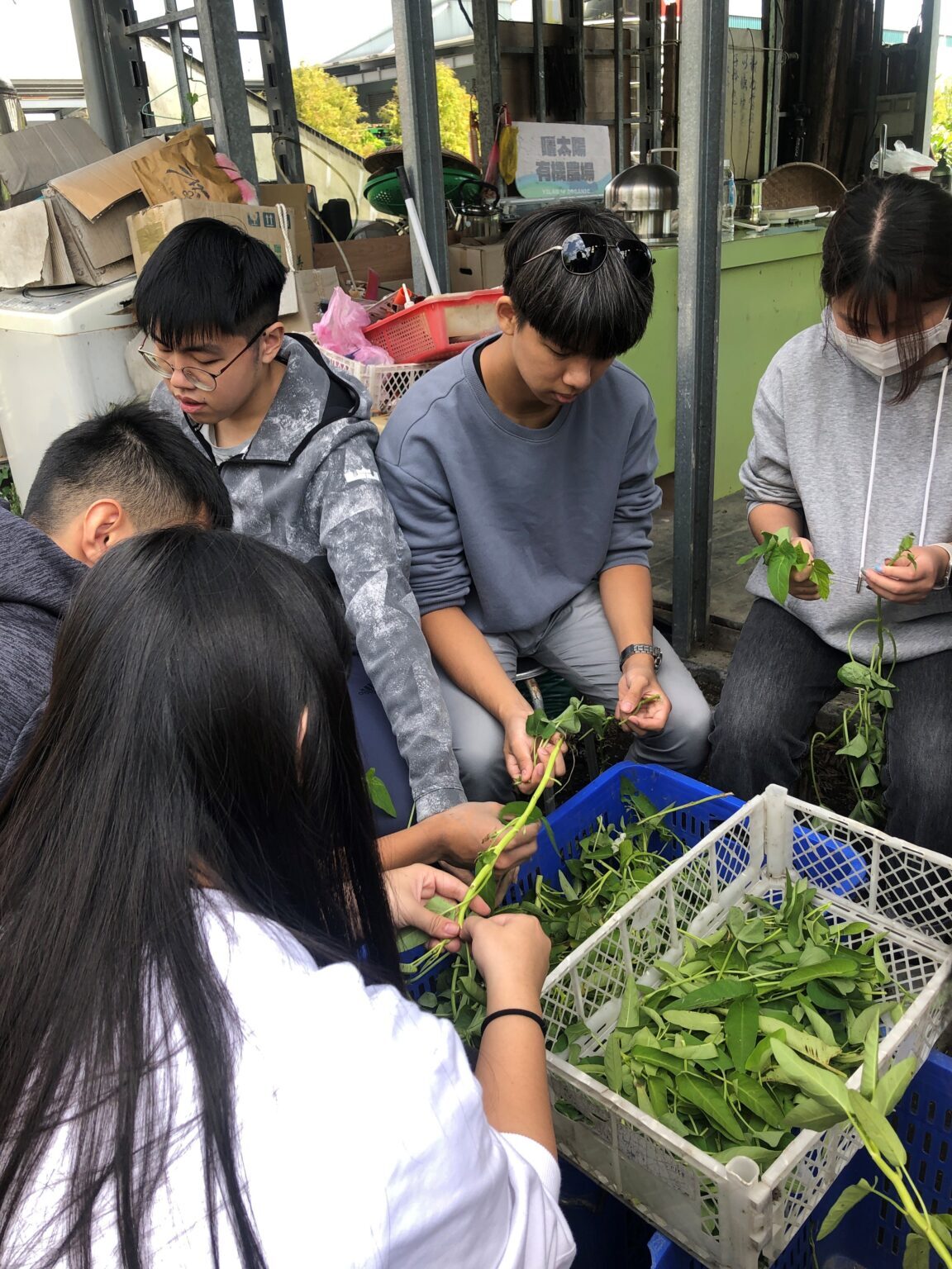 有機農場參訪活動 活動照片