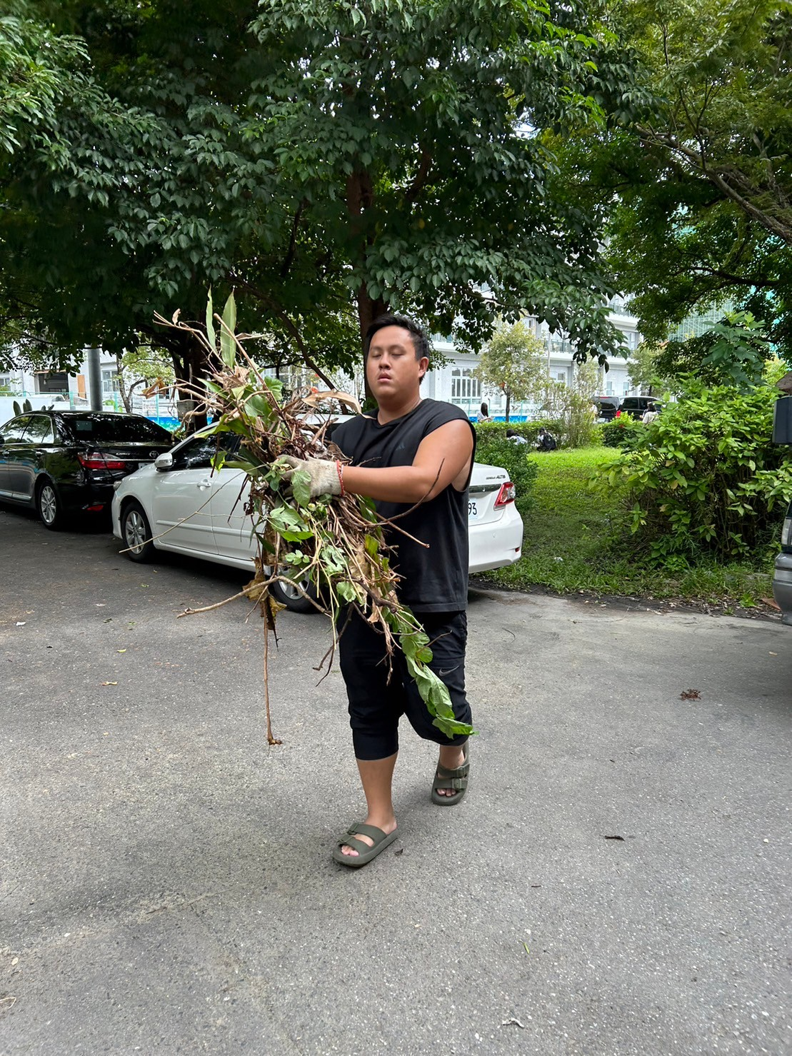 社區雨花園景觀維護服務學習 活動照片