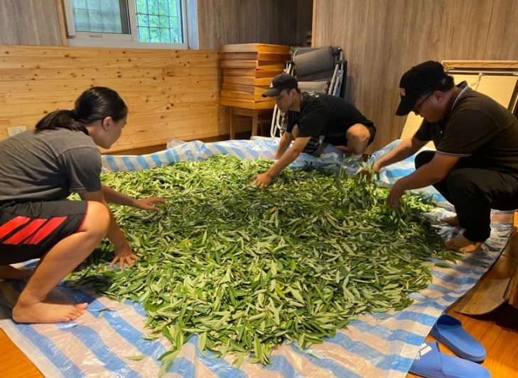 原鄉地方創生馬告產業 活動照片