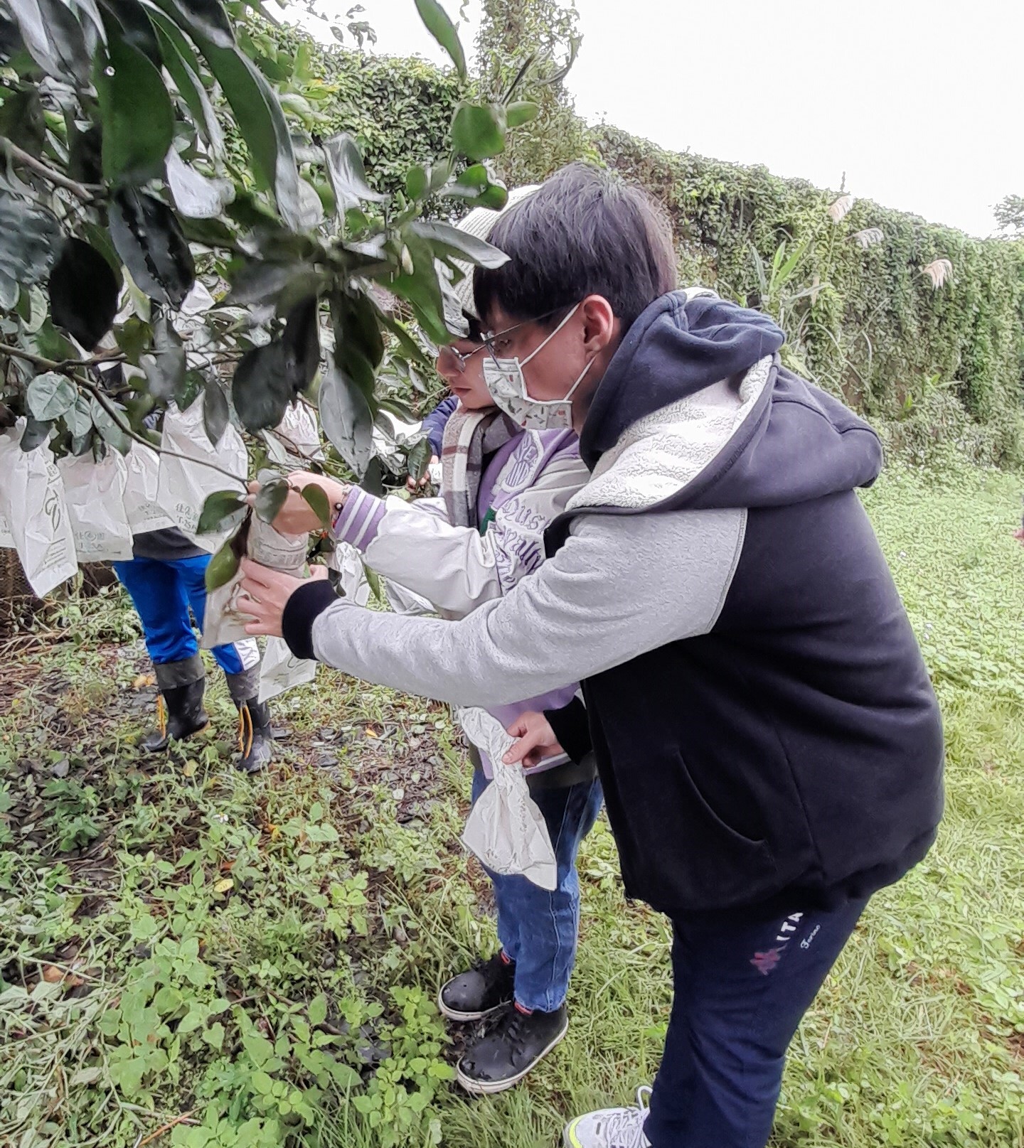 「食農教育實務」成果發表 活動照片