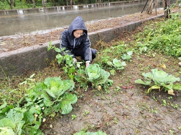 「農產品利用」課程實作 活動照片