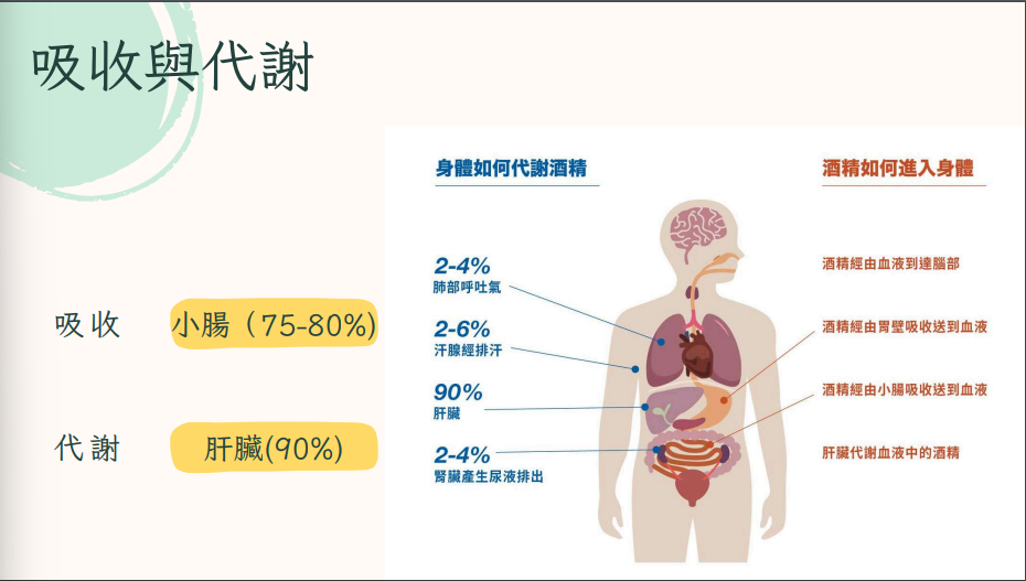 運動生理學二期末成果報告 活動照片