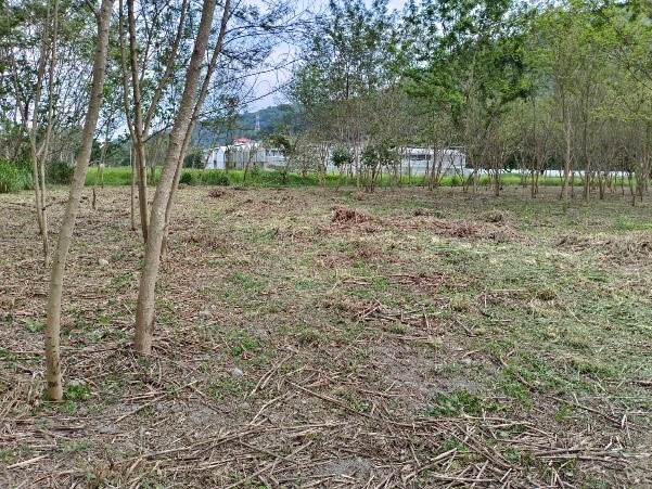 實踐場域環境整地 活動照片