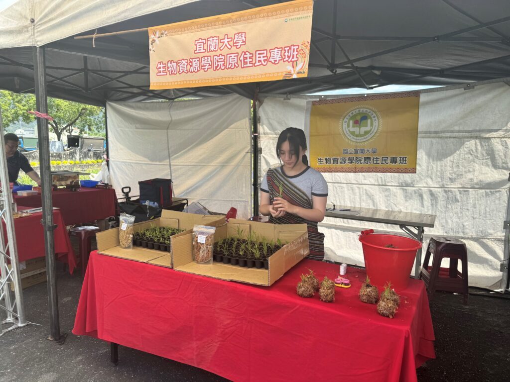 食農教育-小米苔球體驗活動 活動照片