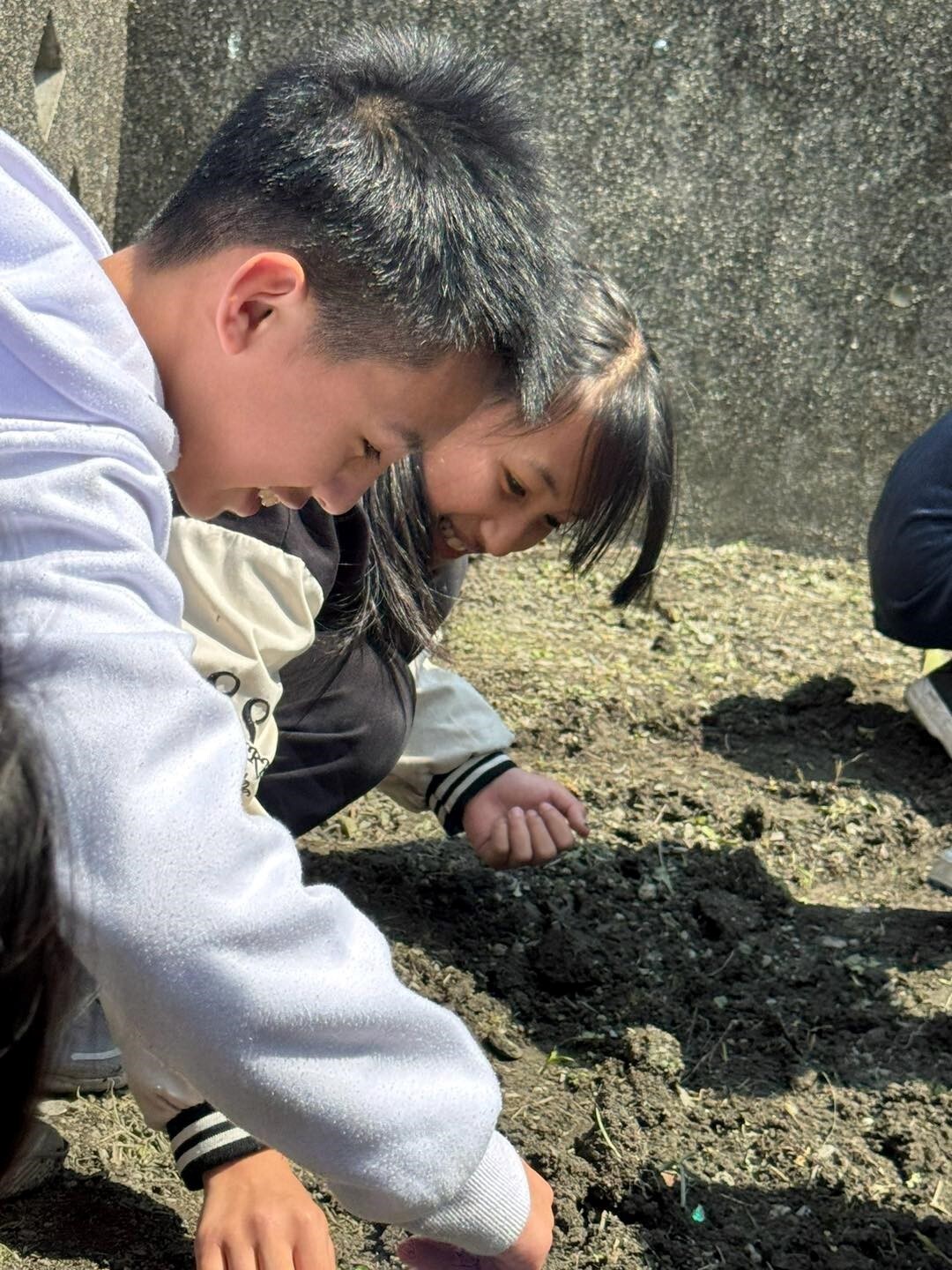 「原住民食農教育體驗探索」系列課程-種植小米 活動照片