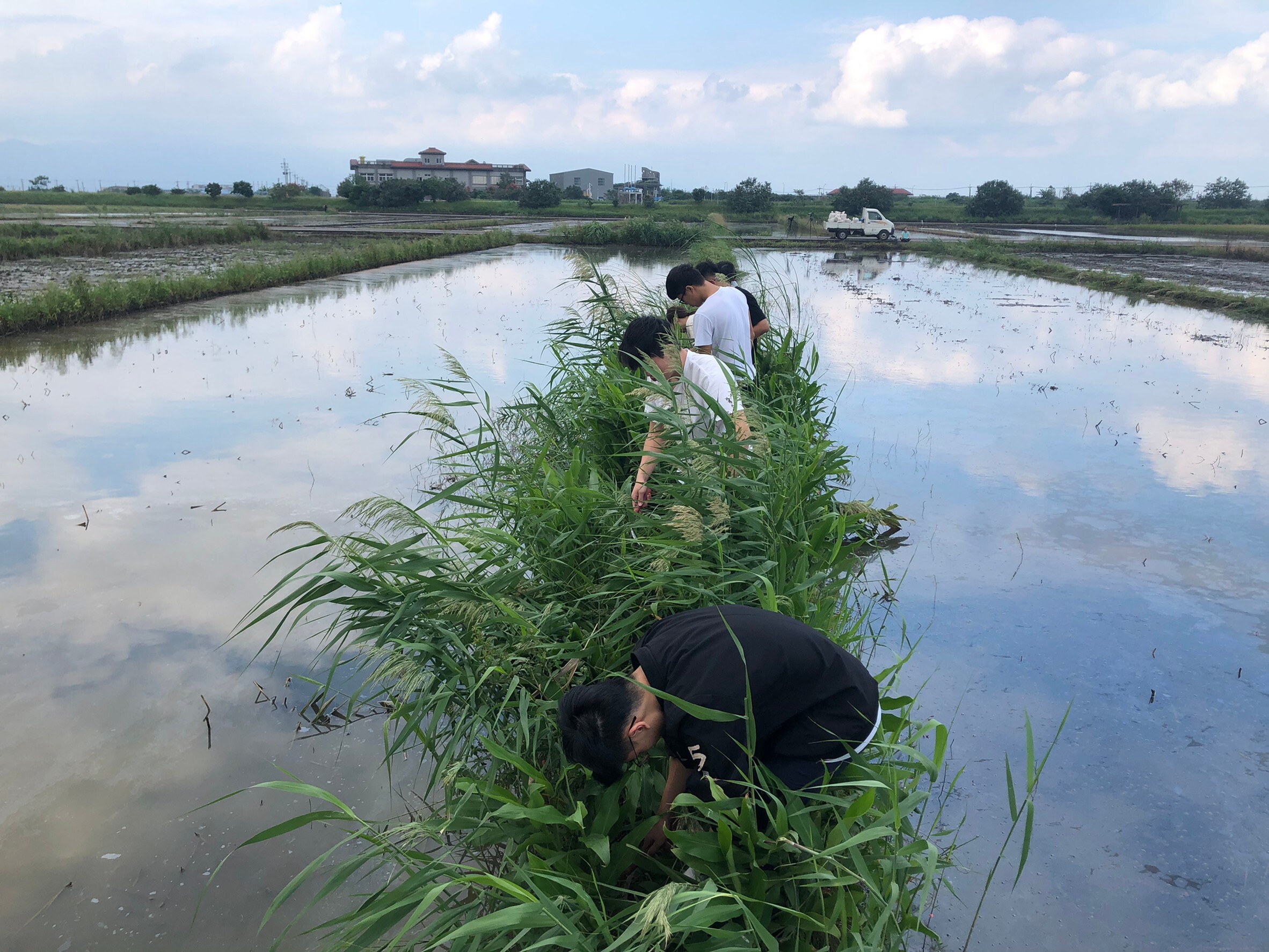 水田棲地營造與賞鳥活動 活動照片