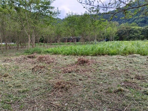 實踐場域環境整地 活動照片