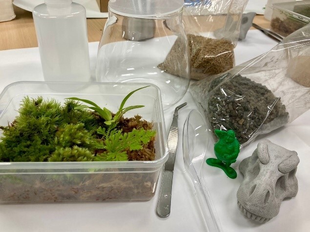 綠色營造與美學課程DIY微型景觀苔蘚生態瓶 活動照片