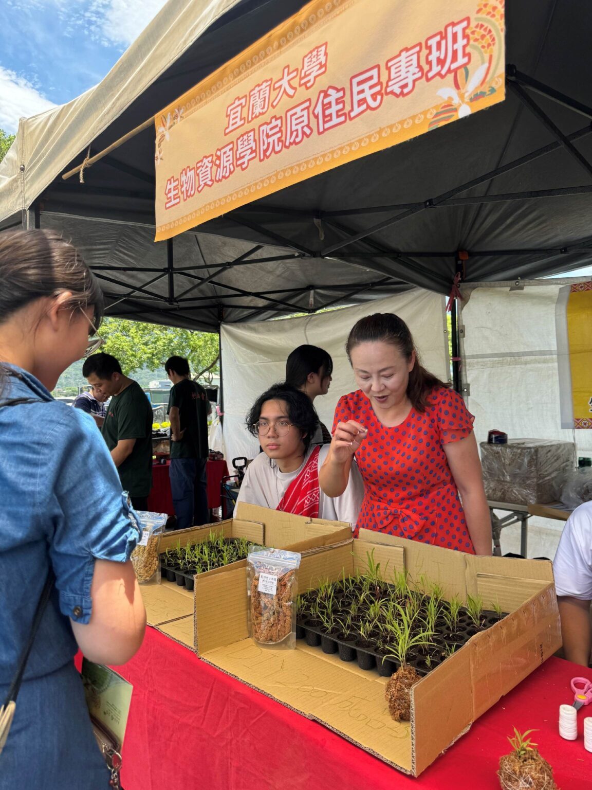 食農教育-小米苔球體驗活動 活動照片