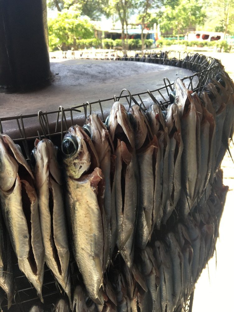 東岳部落烤飛魚參訪與製程輔導 活動照片
