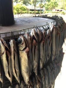 東岳部落烤飛魚參訪與製程輔導 活動照片