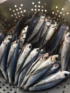 東岳部落烤飛魚參訪與製程輔導 活動照片