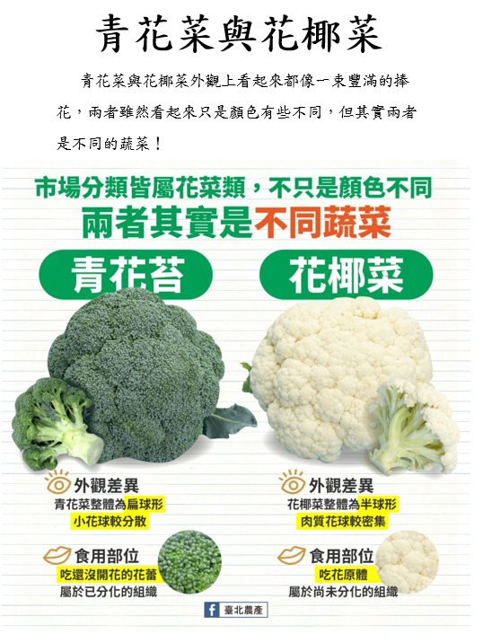 營業學概論期末報告-農/漁/牧產品的推廣文宣品 活動照片