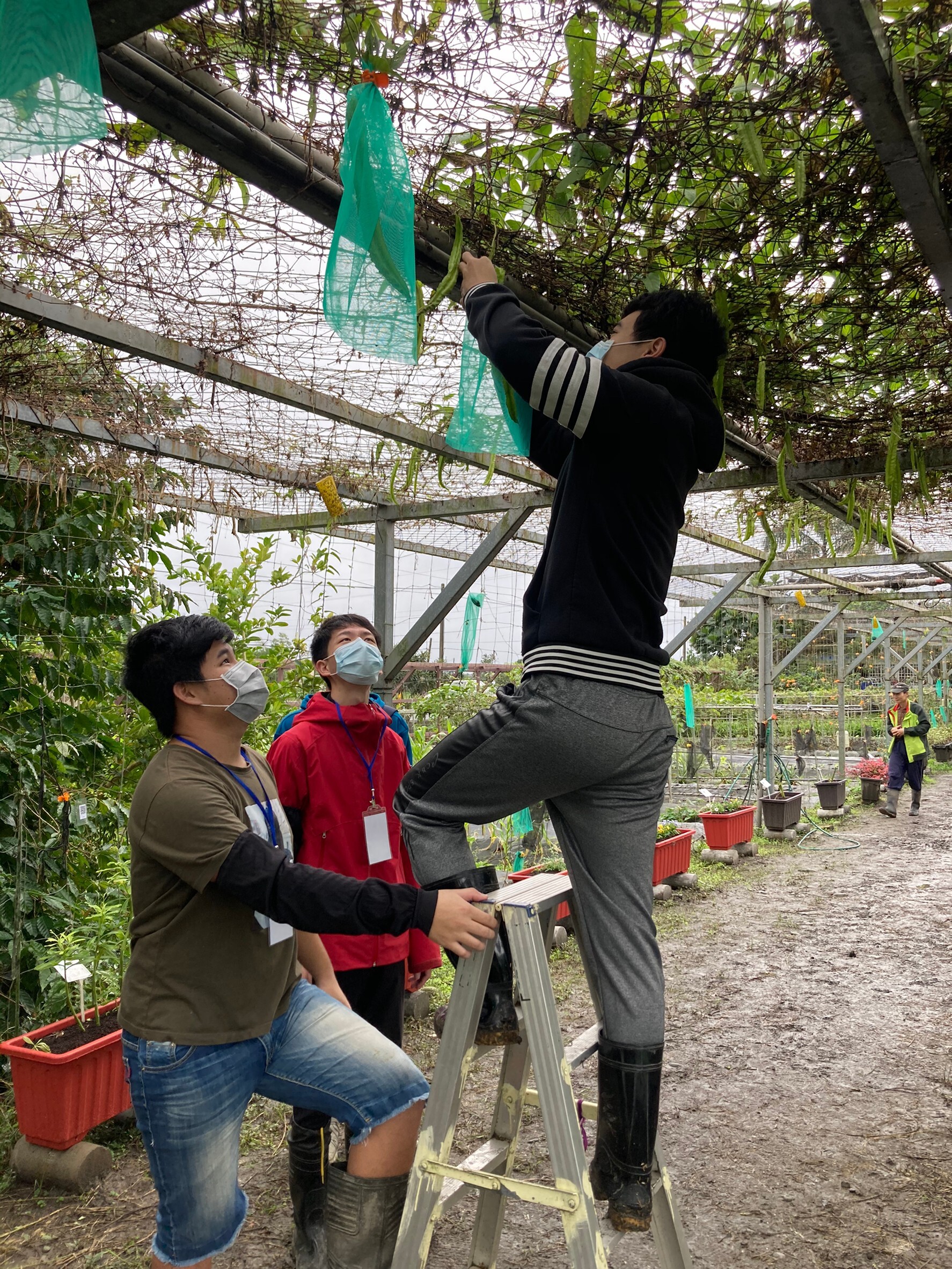 環境教育教學法與活動設計課程成果 活動照片