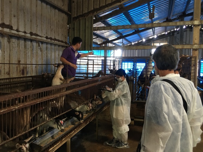 牧場諮詢指導 活動照片