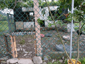 訪視農場、農園活動 活動照片