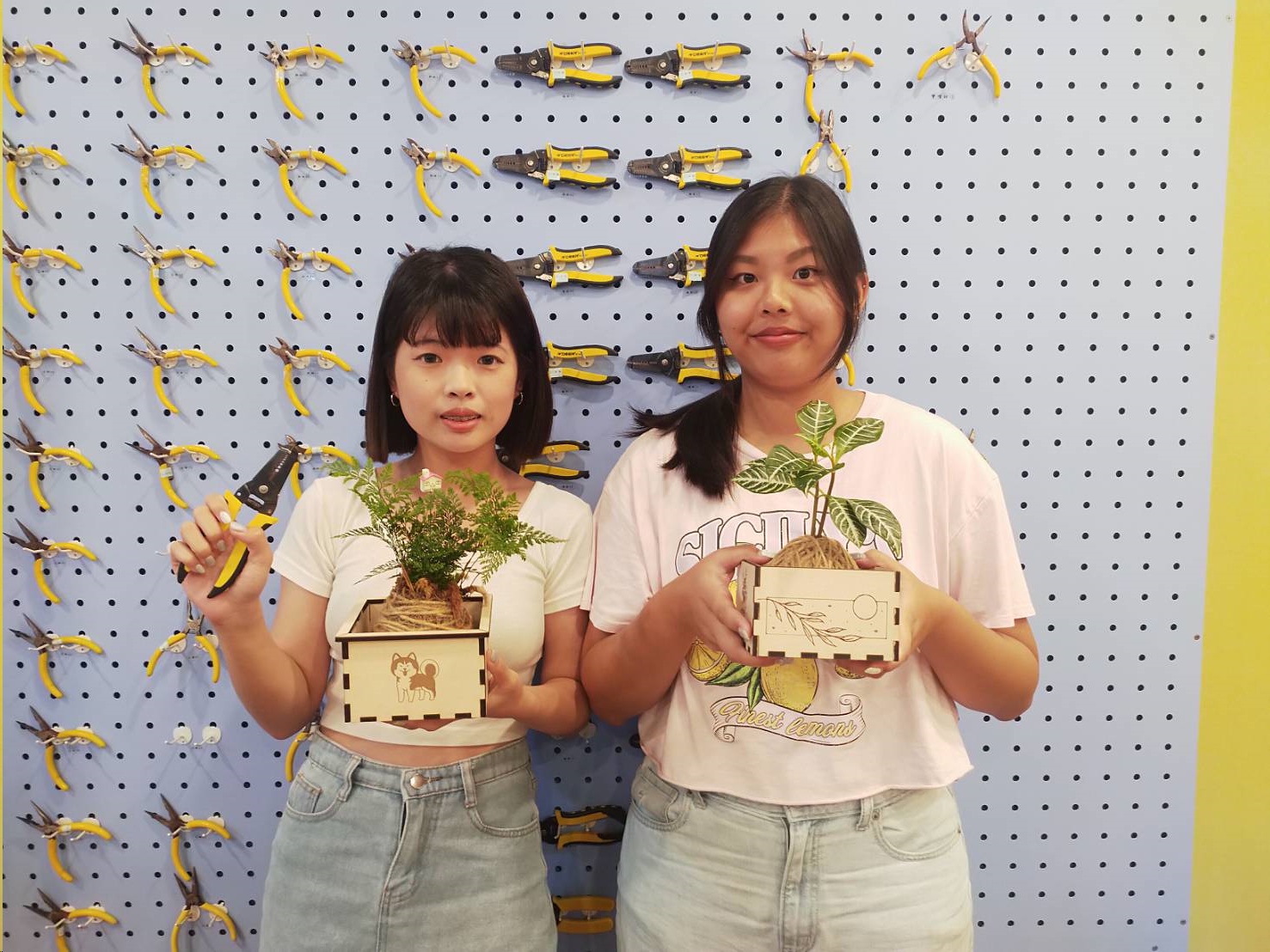 炭化稻殼苔球包裝-雷射雕刻實作工作坊 活動照片