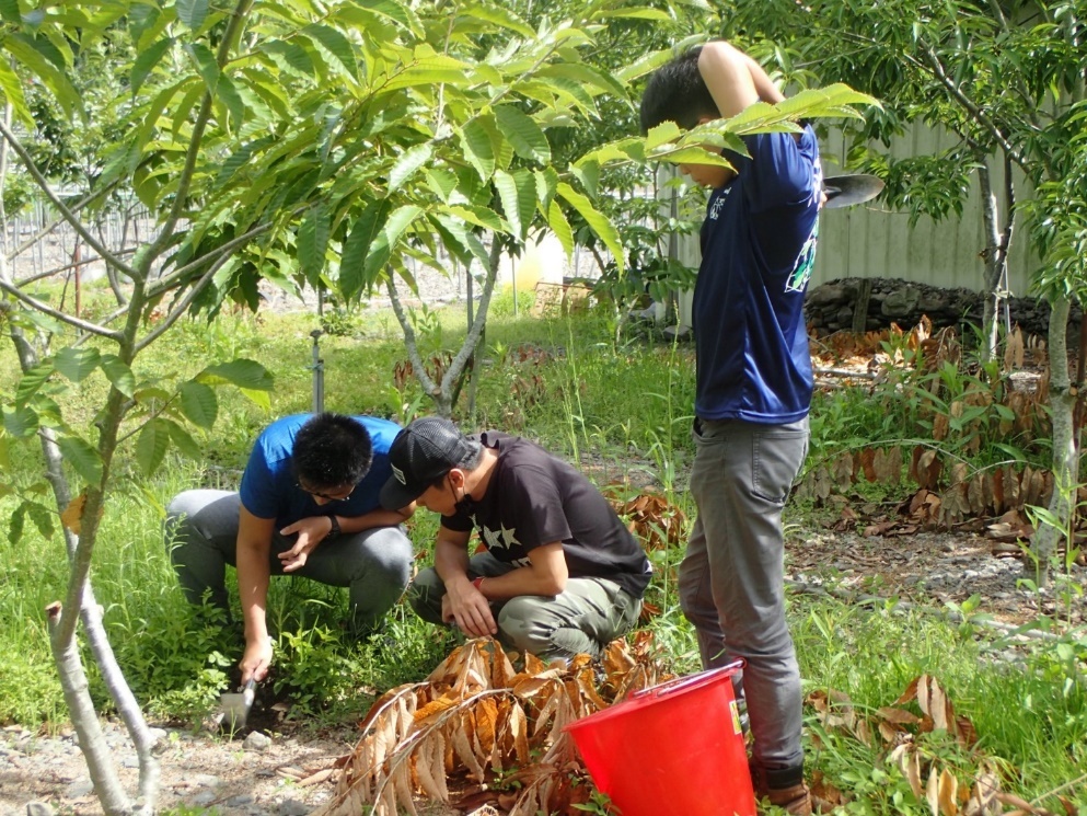 智慧科技與松露園之管理 活動照片