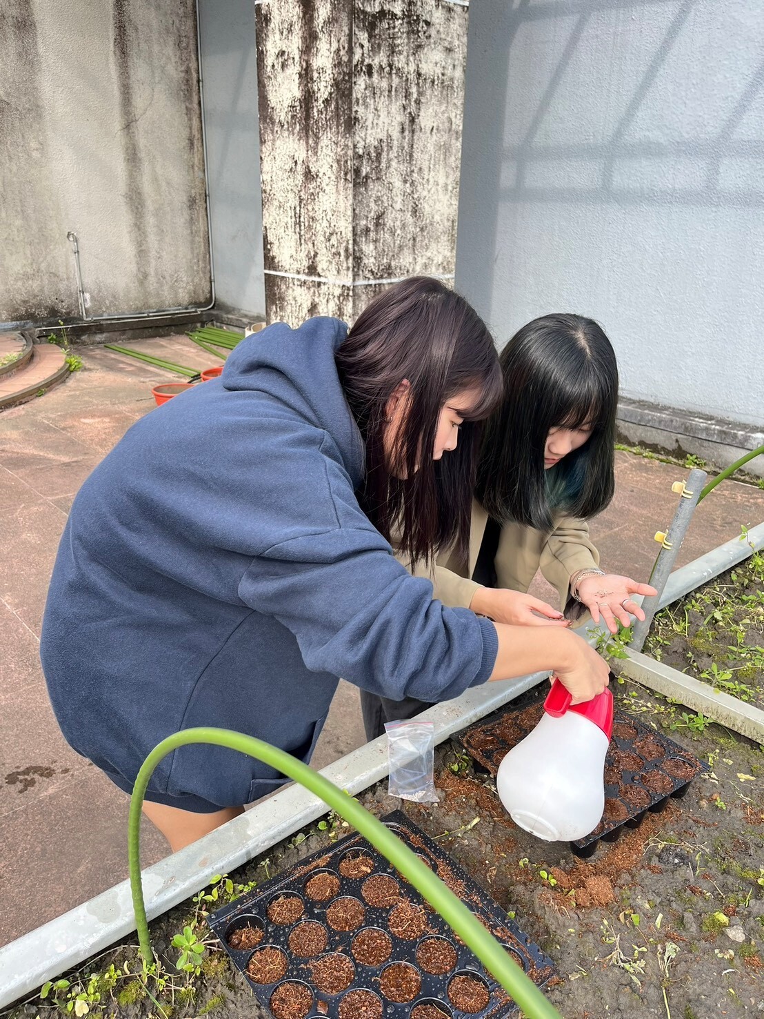植物栽培技術期末成果 活動照片