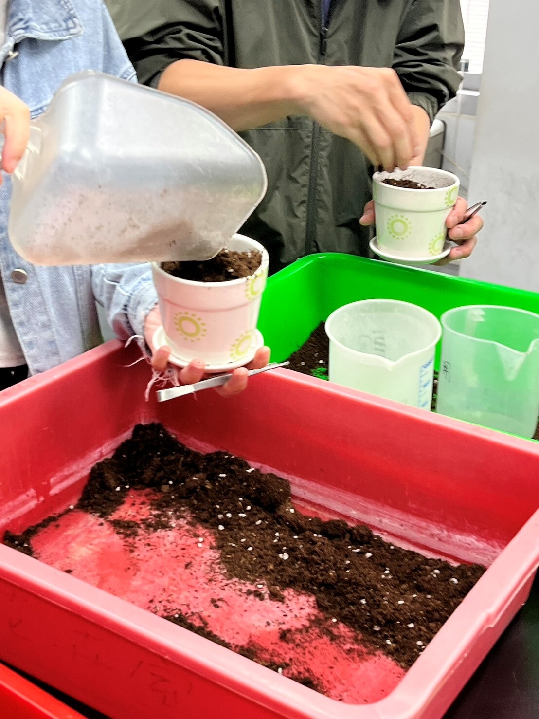 植物栽培技術期末成果 活動照片
