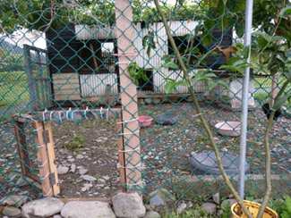 團康活動 活動照片