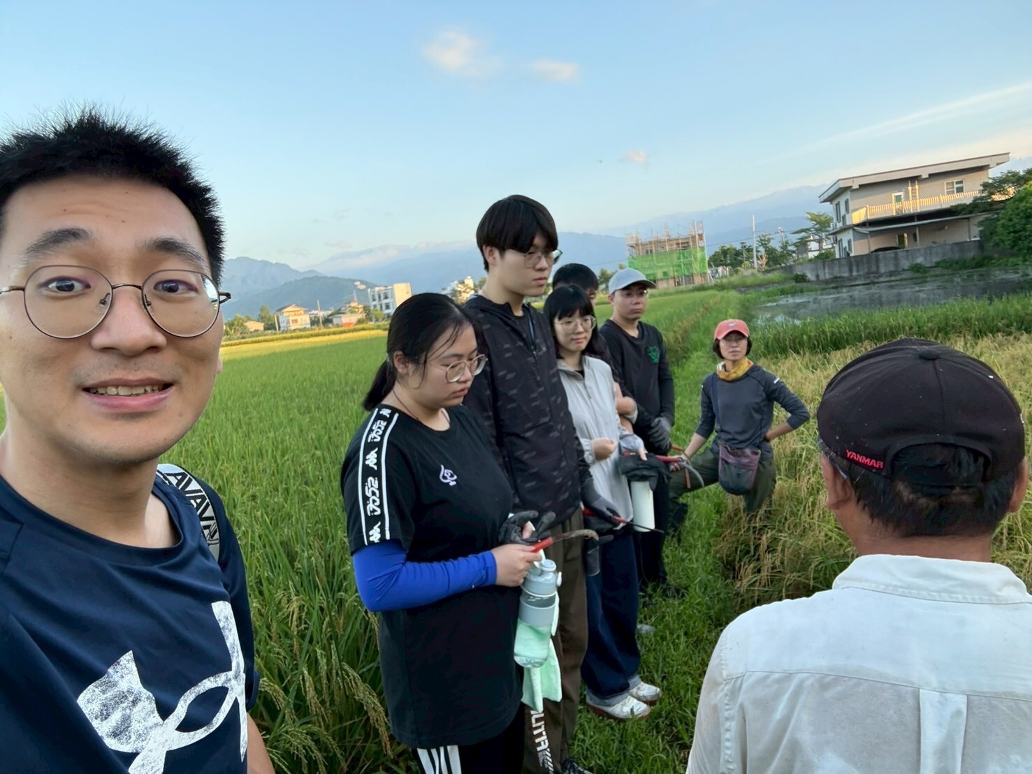 手割釀酒稻穗 活動照片