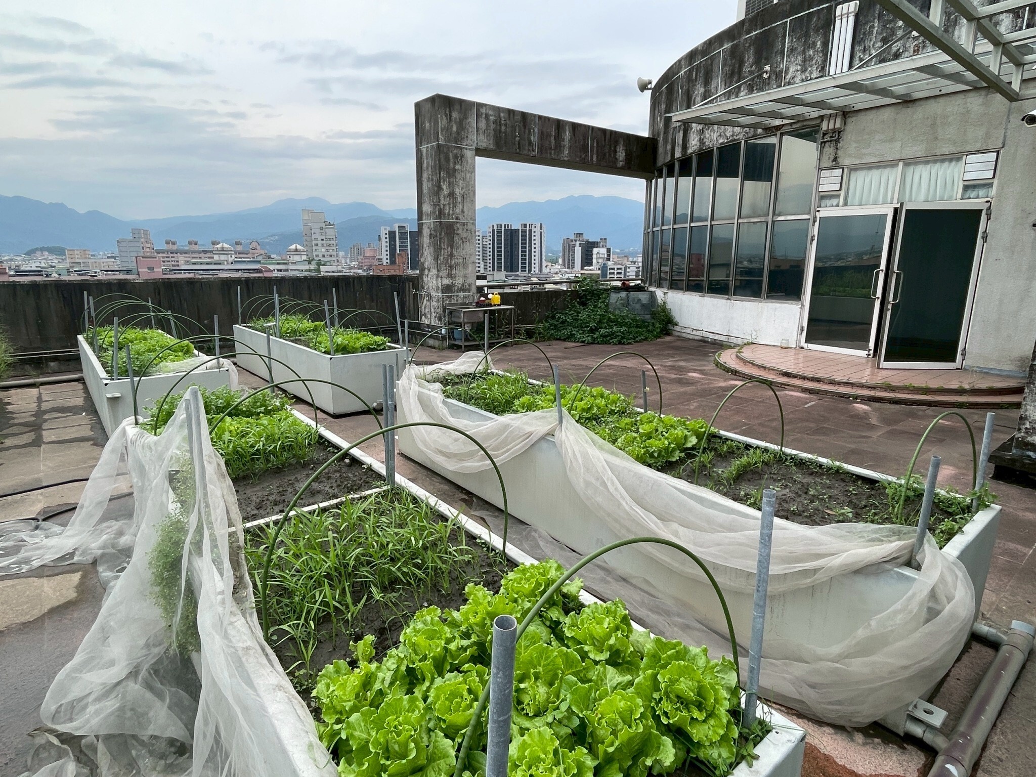 植物栽培技術期末成果 活動照片